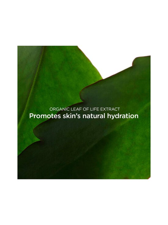 Clarins - Fresh Scrub -kuorinta kasvoille - NOCOL - photo 3 Clarins - Fresh Scrub -kuorinta kasvoille - NOCOL | Stockmann - photo 3