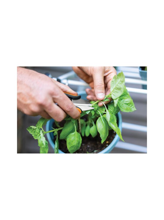 Fiskars - Herb Snips Sp220 -yrttisakset - BLACK/ORANGE | Stockmann - photo 4