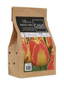 Casa Stockmann - Banja Luka -tulppaanisipulit 15 kpl - MONIVÄRINEN Casa Stockmann - Banja Luka -tulppaanisipulit 15 kpl - MONIVÄRINEN | Stockmann