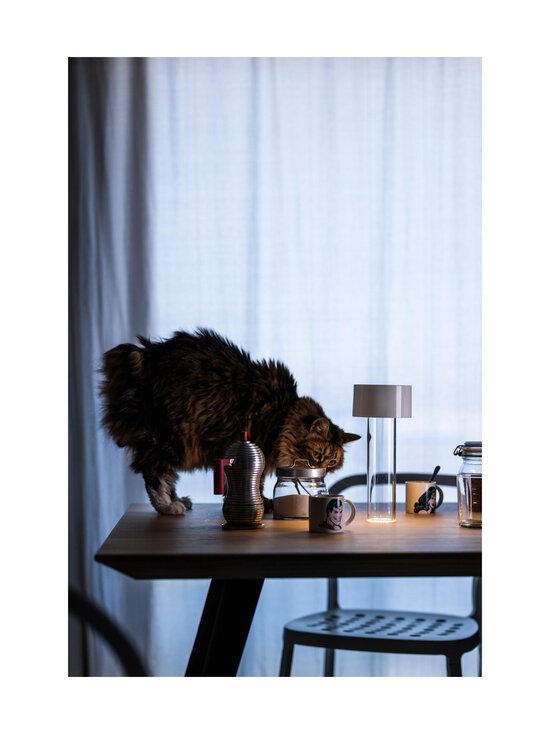 Foscarini - Fleur Bianco -pöytävalaisin - WHITE - photo 6 Foscarini - Fleur Bianco -pöytävalaisin - WHITE | Stockmann - photo 6