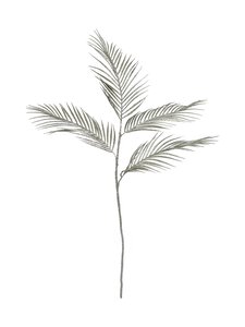 Shishi - Palm Leaves -koristeoksa - CHAMPAGNE | Stockmann