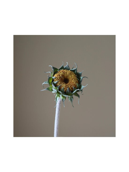Botané - Autumn Sunflower -tekokukka - YELLOW | Stockmann - photo 2
