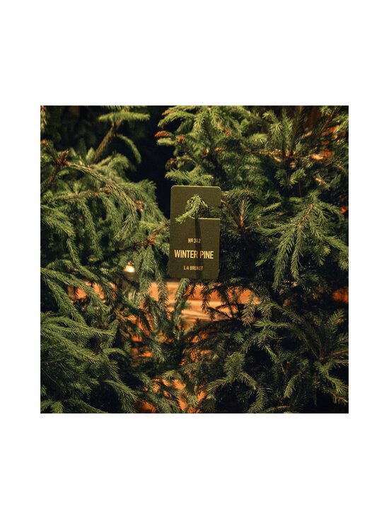 L:A Bruket - Winter Pine 342 Fragrance Tag -tuoksukortti - NOCOL | Stockmann - photo 3
