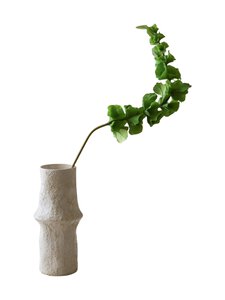 Botané - Green Bells of Ireland -koristekukka - GREEN | Stockmann