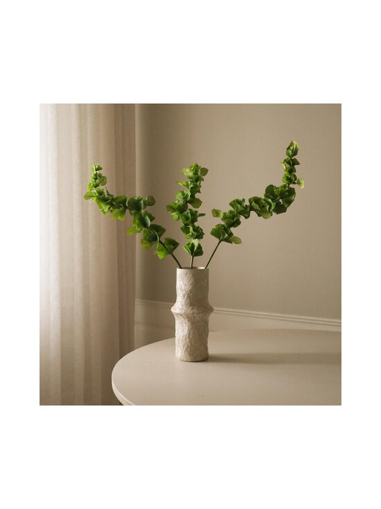 Botané - Green Bells of Ireland -koristekukka - GREEN | Stockmann - photo 3