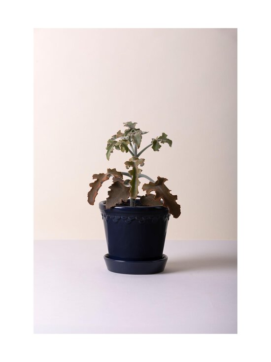 Bergs Potter - Køpenhavner Glazed Sapphire Blue -ruukku ja aluslautanen 16 cm - SAPPHIRE BLUE SAPPHIRE BLUE | Stockmann - photo 3