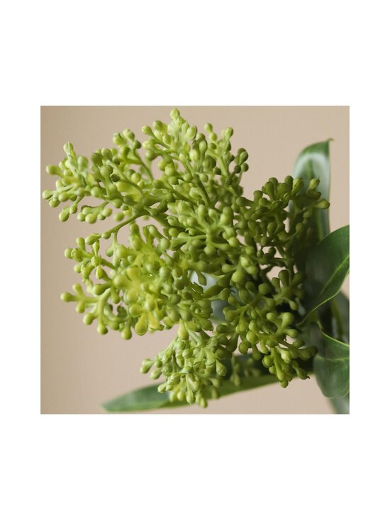 Botané - Green Skimmia Berry Branch -koristeoksa - GREEN | Stockmann - photo 3
