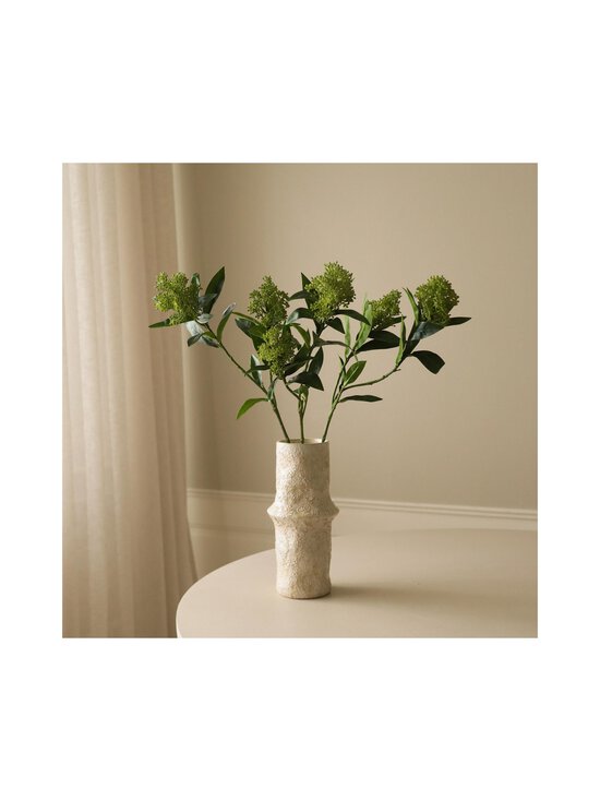Botané - Green Skimmia Berry Branch -koristeoksa - GREEN | Stockmann - photo 4
