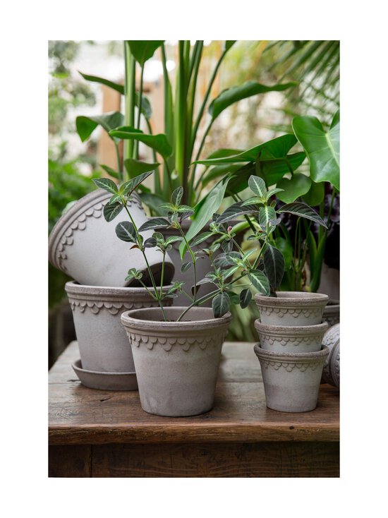 Bergs Potter - Københavner puķu pods Ø 21 cm - GREY - photo 7 Bergs Potter - Københavner puķu pods Ø 21 cm - GREY | Stockmann - photo 7