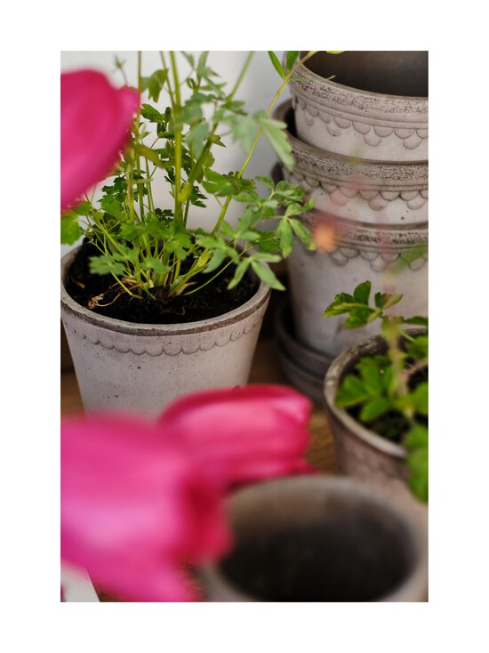 Bergs Potter - Københavner puķu pods Ø 21 cm - GREY - photo 8 Bergs Potter - Københavner puķu pods Ø 21 cm - GREY | Stockmann - photo 8