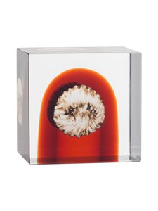 Iittala - Vuosikuutio 2026 - MULTICOLOR | Stockmann