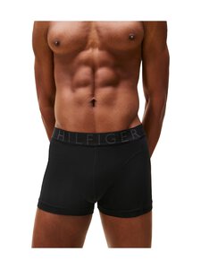 Tommy Hilfiger - Aluspüksid Metallic 3 tk - 0XK BLACK/BLACK/BLACK Tommy Hilfiger - Aluspüksid Metallic 3 tk - 0XK BLACK/BLACK/BLACK | Stockmann