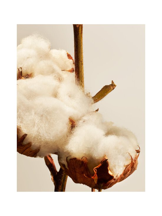 Rituals - Cotton Blossom Refill Fragrance Sticks - NOCOL - photo 2 Rituals - Cotton Blossom Refill Fragrance Sticks - NOCOL | Stockmann - photo 2