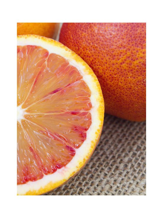 Maison Crivelli - Rose Saltifolia Eau de Parfum -tuoksu - NOCOL | Stockmann - photo 8