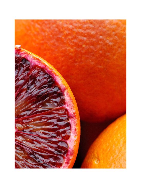 Maison Crivelli - Rose Saltifolia Eau de Parfum -tuoksu - NOCOL | Stockmann - photo 10