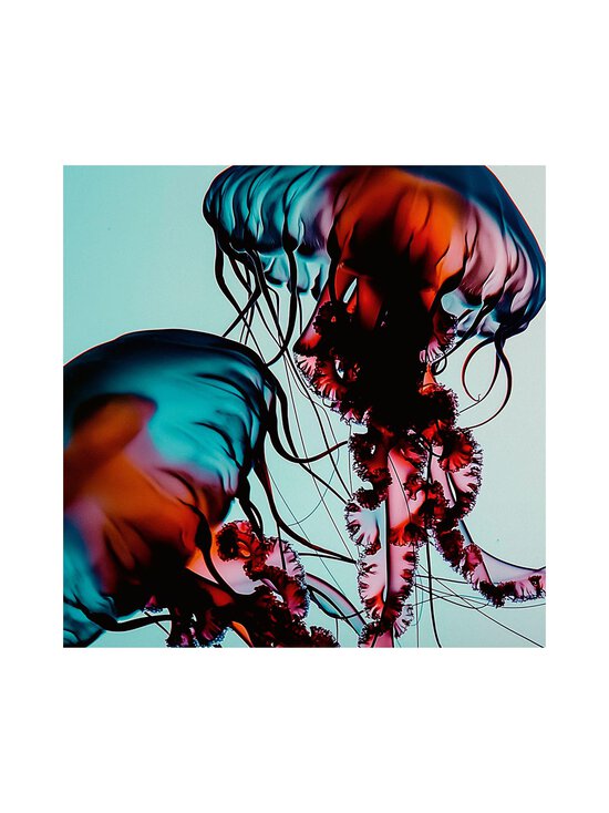 MANTLE - The Hydra Pads mitrinoši pīlinga spilventiņi - NOCOL | Stockmann - photo 3