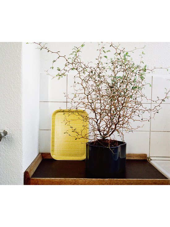 Artek - Rivi-tarjotin 27 x 20 cm - MUSTA,VALKOINEN - photo 2 Artek - Rivi-tarjotin 27 x 20 cm - MUSTA,VALKOINEN | Stockmann - photo 2