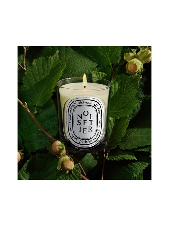 Diptyque - Noisetier Classic -tuoksukynttilä 190 g - NOCOL | Stockmann - photo 4