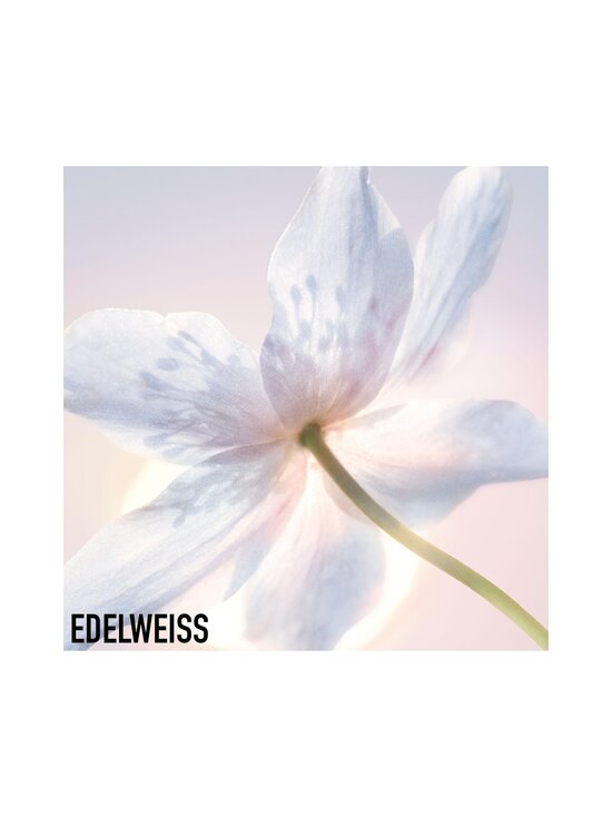 DIOR - Diorsnow Essence of Light Cream -päivävoide 50 ml - NOCOL | Stockmann - photo 5