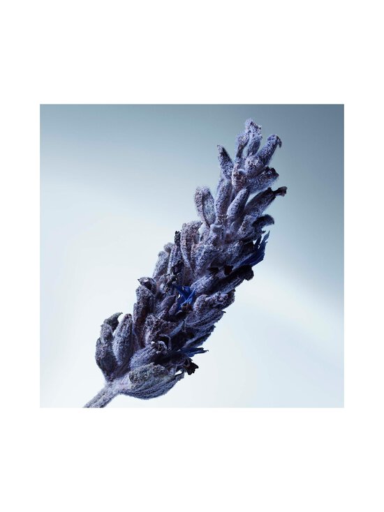 Matiere Premiere - Metal Lavender Eau De Parfum -tuoksu - NOCOL | Stockmann - photo 17