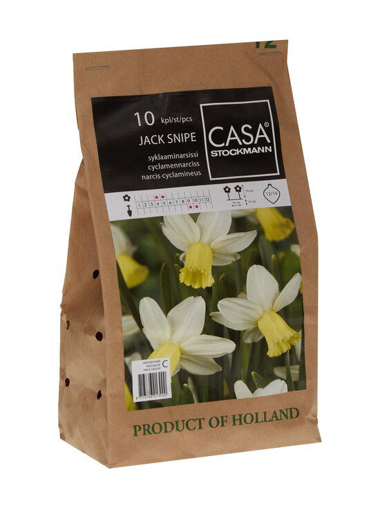 Narcissus Jack Snipe -kukkasipulit 10 kpl