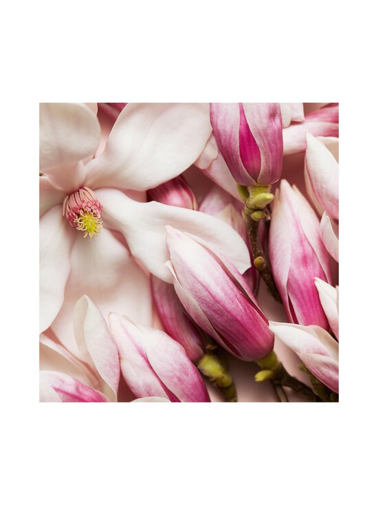 Escada - Celebrate N.O.W EdP - photo 5 Escada - Celebrate N.O.W EdP | Stockmann - photo 5