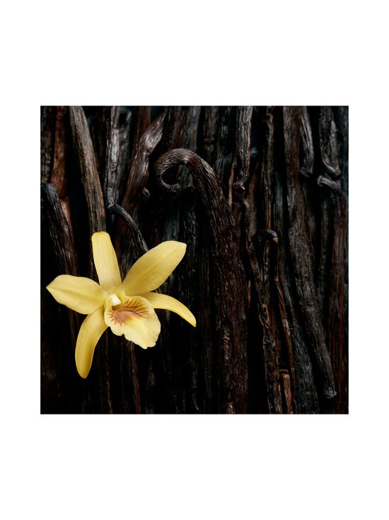 Escada - Celebrate N.O.W EdP - photo 6 Escada - Celebrate N.O.W EdP | Stockmann - photo 6