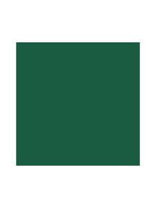 Duni - BioTissue-lautasliina 20 kpl - DARK GREEN | Stockmann