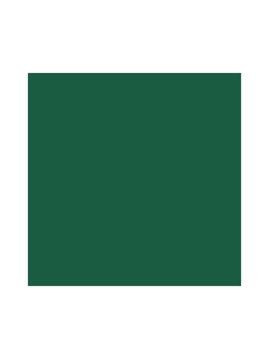 Duni - BioTissue-lautasliina 20 kpl - DARK GREEN | Stockmann - photo 1