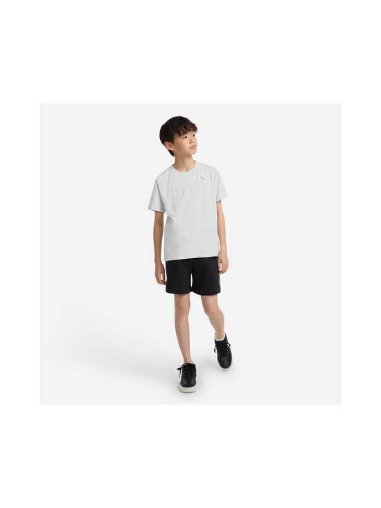 Abercrombie & Fitch - Essential t-paita - GH3-ANF LIGHT GREY HEATHER | Stockmann - photo 5
