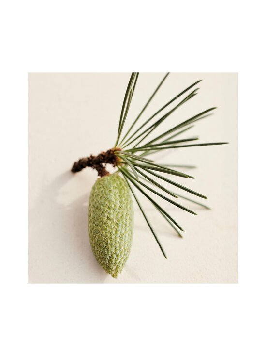Chloé - Atelier Des Fleurs Cedrus EdP -tuoksu - NOCOL | Stockmann - photo 6