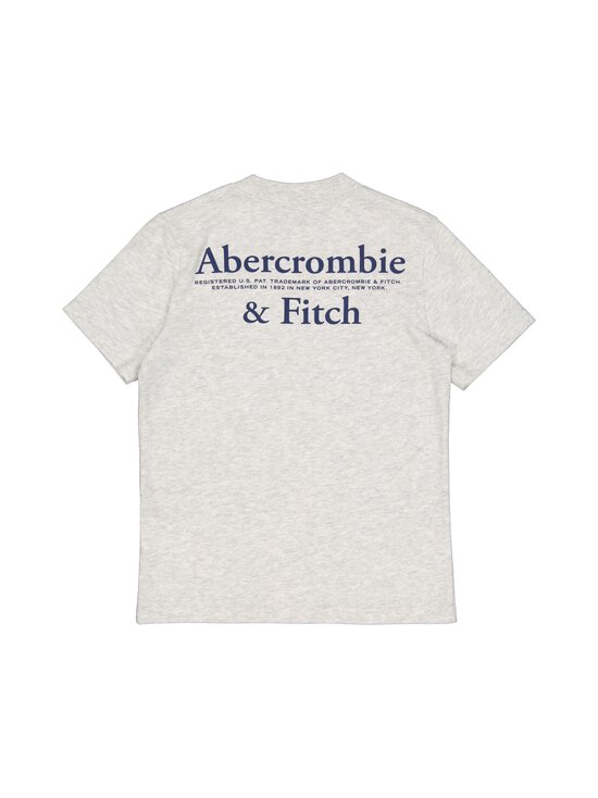Abercrombie & Fitch - Foothills T-krekls - GH3-ANF LIGHT GREY HEATHER - photo 2 Abercrombie & Fitch - Foothills T-krekls - GH3-ANF LIGHT GREY HEATHER | Stockmann - photo 2