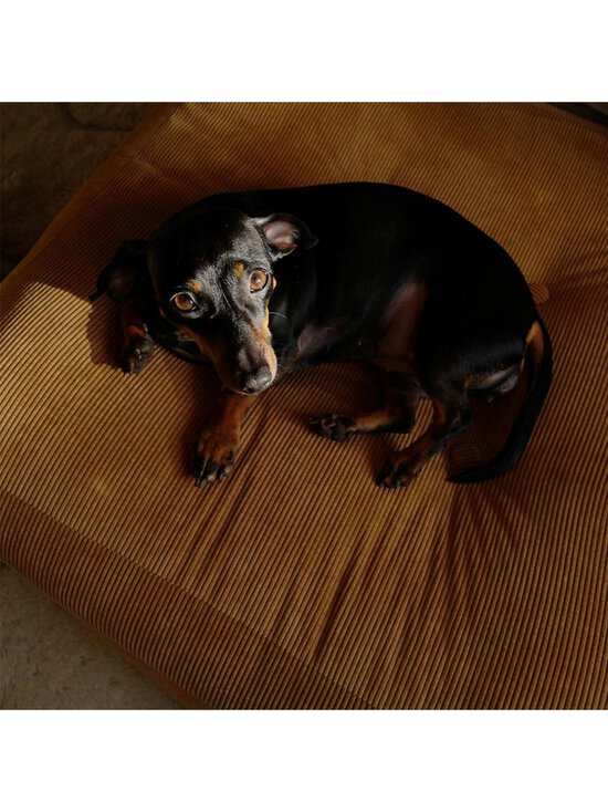 Karup Design - More-lattiatyyny 70 x 70 cm - VAALEANPUNAINEN - photo 6 Karup Design - More-lattiatyyny 70 x 70 cm - VAALEANPUNAINEN | Stockmann - photo 6