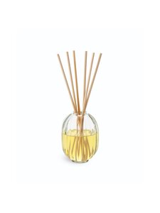 Diptyque - Fleur D'oranger Diffuser & Refill istabas smaržūdens un papildinājums 200 ml Diptyque - Fleur D'oranger Diffuser & Refill istabas smaržūdens un papildinājums 200 ml | Stockmann