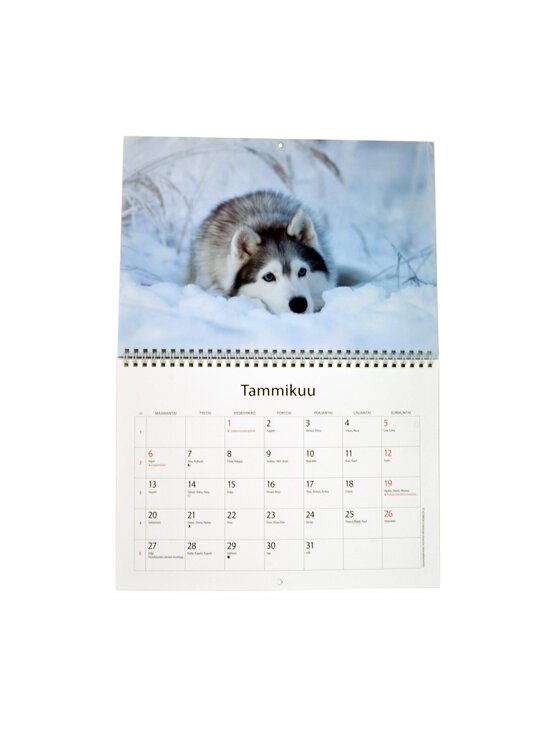 Karto - Animal-vuosikalenteri 2025 - MULTICOLOR | Stockmann - photo 2
