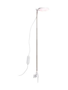 Airam - Taimelamp Plant Light Rose 10W/735 290 lm USB - WHITE Airam - Taimelamp Plant Light Rose 10W/735 290 lm USB - WHITE | Stockmann