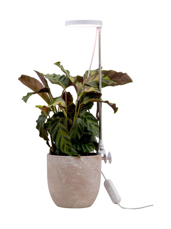 Airam - Plant Light Rose - kasvivalaisin 10W/735 290 lm USB - WHITE - photo 2 Airam - Plant Light Rose - kasvivalaisin 10W/735 290 lm USB - WHITE | Stockmann - photo 2