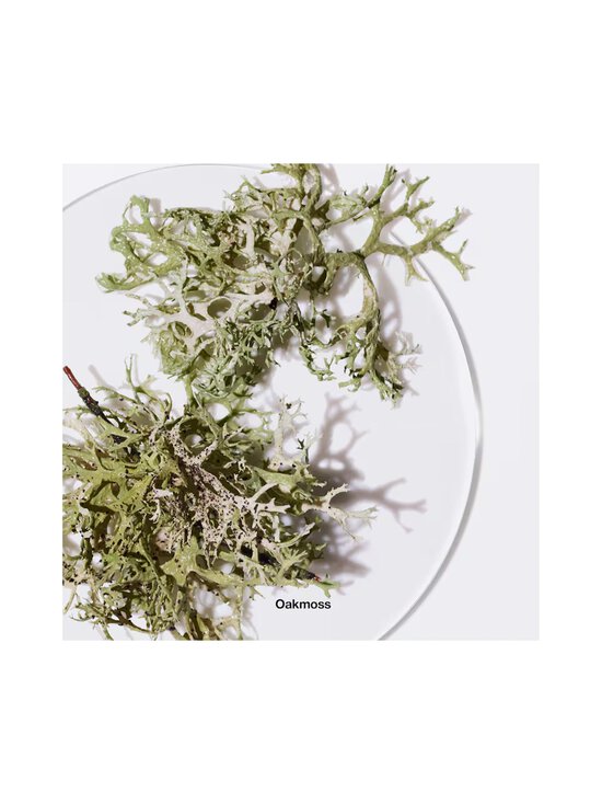 Clinique - Calyx Fragrance - NOCOL - photo 4 Clinique - Calyx Fragrance - NOCOL | Stockmann - photo 4