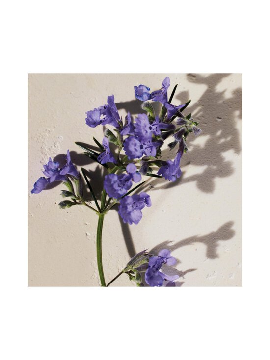 Chloé - Atelier Des Fleurs Hysope EdP -tuoksu - NOCOL | Stockmann - photo 8