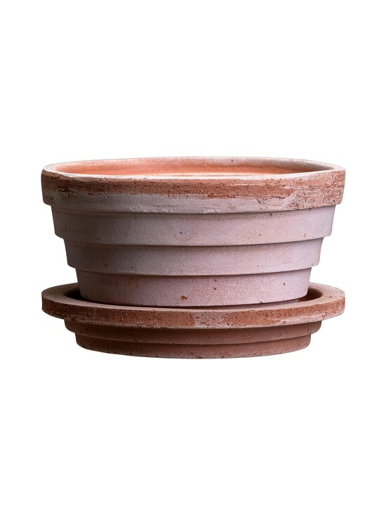Bergs Potter - Planet Raw Rose -ruukku- ja aluslautanen 12 cm - ROSE ROSE | Stockmann - photo 1
