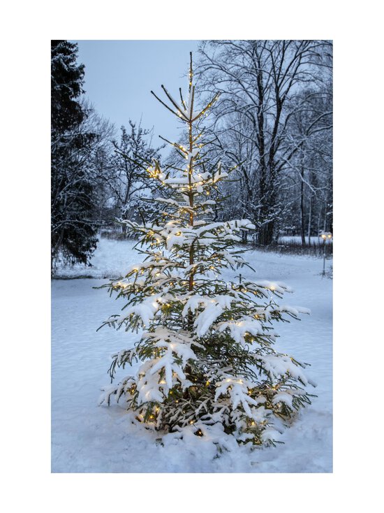 Star Trading - Dew Drop Micro Light gaismas virtene ar LED gaismām 0,3 x 0,3 cm x 15 m - VIHREÄ - photo 4 Star Trading - Dew Drop Micro Light gaismas virtene ar LED gaismām 0,3 x 0,3 cm x 15 m - VIHREÄ | Stockmann - photo 4