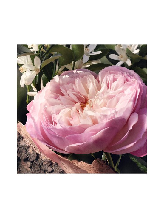 Chloe - Rose Naturelle EdP -tuoksu 30 ml - NOCOL - photo 6 Chloe - Rose Naturelle EdP -tuoksu 30 ml - NOCOL | Stockmann - photo 6