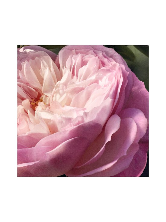 Chloe - Rose Naturelle EdP -tuoksu 30 ml - NOCOL - photo 7 Chloe - Rose Naturelle EdP -tuoksu 30 ml - NOCOL | Stockmann - photo 7
