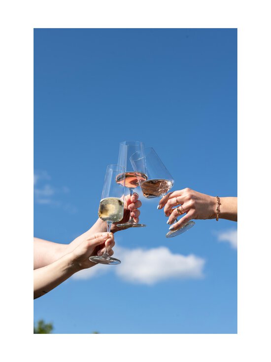 Schott Zwiesel - Veiniklaasid Miovino 12 tk - CLEAR | Stockmann - photo 4