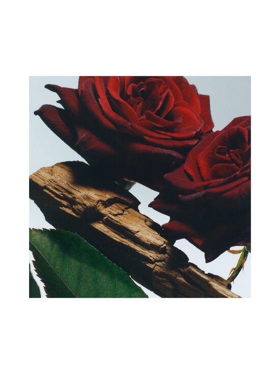 Jo Malone London - Velvet Rose & Oud Cologne Intense - NOCOL | Stockmann - photo 4