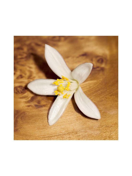 Chloé - Le Nectar Parfum Intense -tuoksu - NOCOL | Stockmann - photo 9