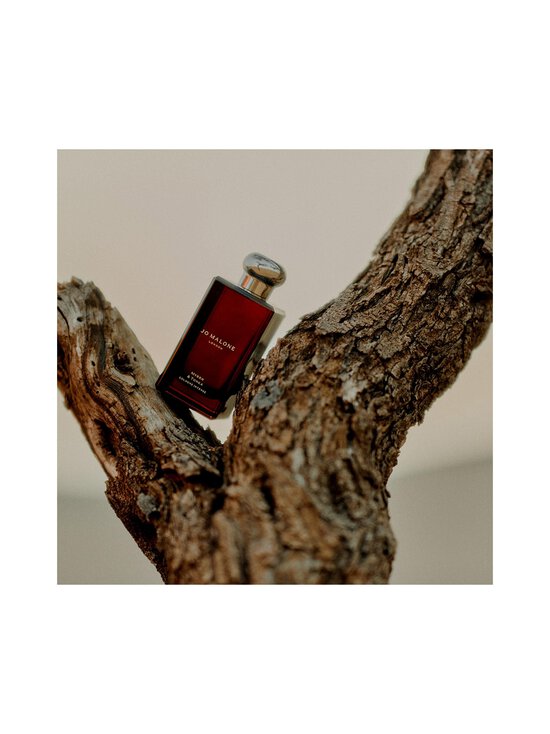 Jo Malone London - Myrrh & Tonka Cologne Intense -tuoksu 100 ml - NOCOL - photo 5 Jo Malone London - Myrrh & Tonka Cologne Intense -tuoksu 100 ml - NOCOL | Stockmann - photo 5
