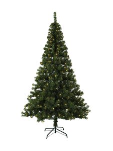 Star Trading - Ottawa- joulukuusi LED-valoilla 210 cm 120 x 120 x 210 cm - VIHREÄ Star Trading - Ottawa- joulukuusi LED-valoilla 210 cm 120 x 120 x 210 cm - VIHREÄ | Stockmann