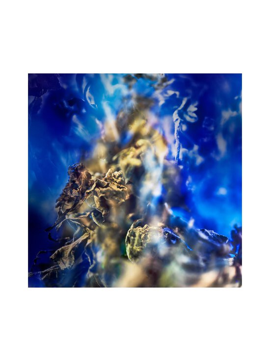 Bvlgari - Le Gemme Gyan EdP - NOCOL | Stockmann - photo 4