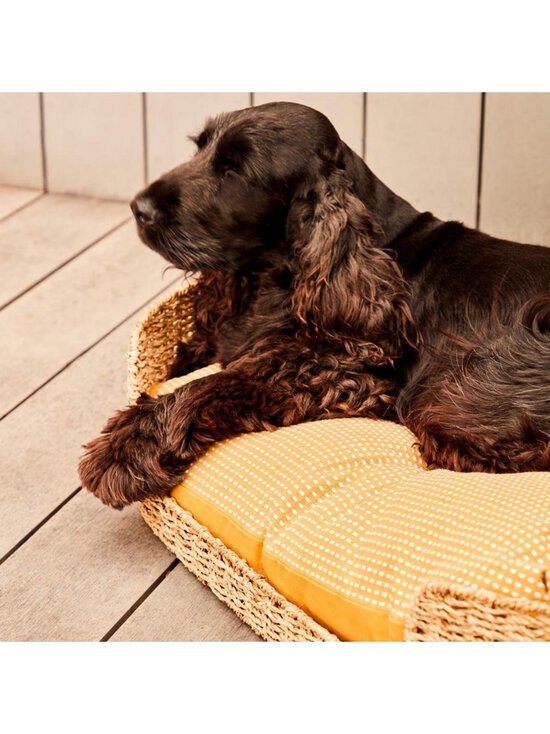 Kave Home - Fliicker-lemmikkipeti 80 x 45 cm - BEIGE - photo 8 Kave Home - Fliicker-lemmikkipeti 80 x 45 cm - BEIGE | Stockmann - photo 8